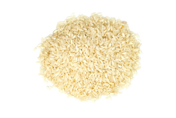 the seeds of white rice