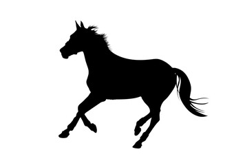 Graphics design silhouette horse  isolated white background vector illustration