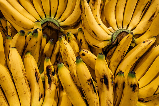 Bunches of ripe bananas on stall