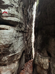 Hiking trail in the forest of Mullerthal, Luxembourg