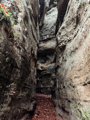 Hiking trail in the forest of Mullerthal, Luxembourg