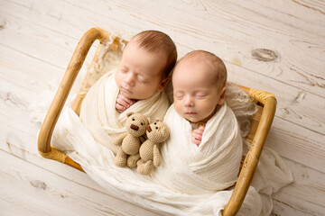 Tiny newborn twin boys in white cocoons in a wooden basket with bear toys. 