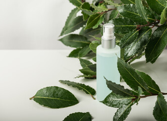 Cosmetic skin care products (body lotion, hair shampoo, face creme) on green leaves as background, top view, copy space. Natural eco beauty .