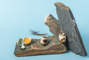 Quail eggs on hard and sharp stones on a blue background. A combination of fragile and hard.