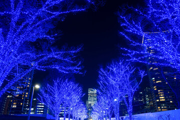 東京都渋谷区　青の洞窟　イルミネーション