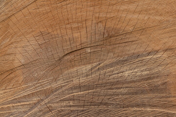 texture of wood