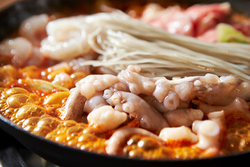 Spicy stir-fried octopus, Korean food