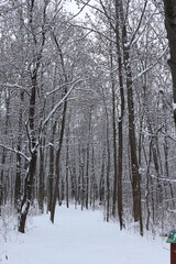 snow covered trees