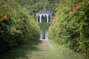 Obraz premium church in the garden