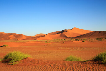 Fototapeta na wymiar Beautiful sweeping landscape of Sossusvlei in Namib Desert, with wind ripples in the sand, Namibia