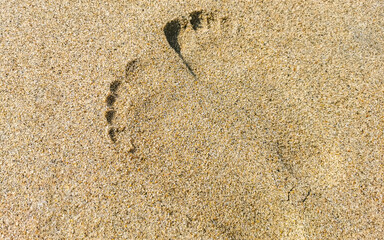Footprint footprints on the beach sand by the water Mexico.