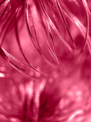 Trendy color 2023 viva magenta red toned of abstract natural background.