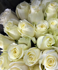 Bouquet of white roses