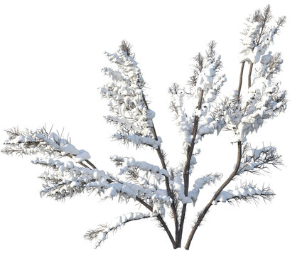 tree albero neve natale