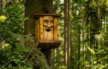 Nistkasten an einem Baumstamm im Wald, gestaltet mit dem geschnitztem Gesicht eines altes Mannes...