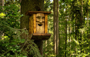 Nistkasten an einem Baumstamm im Wald, gestaltet mit dem geschnitztem Gesicht eines altes Mannes mit Bart