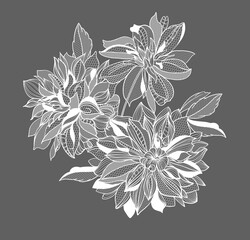 lace dahlias flowers and foliage. Vector illustration, bouquet.