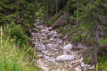 Mountain stream