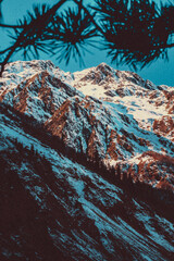 landscape in the winter