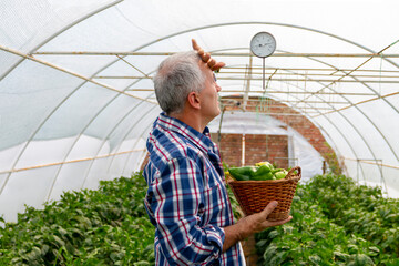 Male farmer watching at thermometer.Thermometer enables efficient and sustainable agriculture.