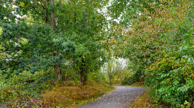 Trail through a forest along the ocean, off Marine Drive, near Stewart Historic Farmhouse in Surrey, BC, Canada; Surrey, British Columbia, Canada