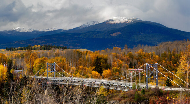 Elevated roadway crossing a valley in an autumn coloured forest in the Hazelton Mountains of BC, Canada; British Columbia, Canada