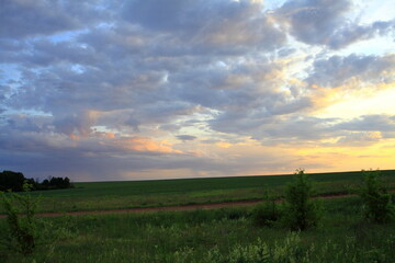 A sunny sunset.Dramatic sunset over the horizon. Above the meadows. Red sky background. beautiful rays of the sun.Landscape
