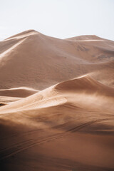 Sand texture in Morocco Sahara Merzouga Desert portrait oriented