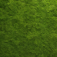 Fototapeta premium green grass texture background