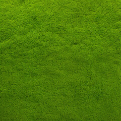 green grass texture background
