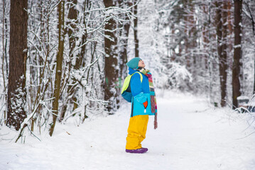 happy boy in winter bright clothes holds a snowball in his hand, walks through the snowy forest	