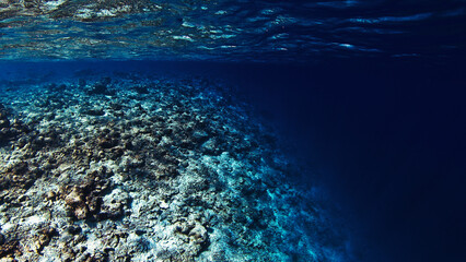 Fototapeta na wymiar Dead coral reef with no animals
