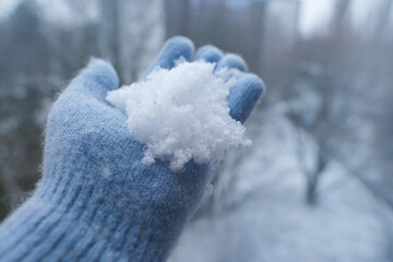 closeup female hands in glove catches fluffy white snowflakes, trees and a winter cityscape in...