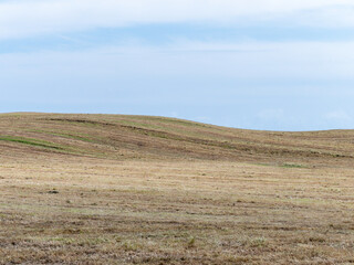 Obraz premium Hills covered with stubble under a blue sky on a spring day. Minimalistic landscape, field under blue sky.