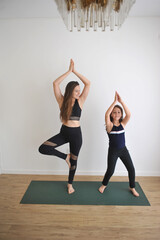 mãe e filha juntas  fazendo exercícios em casa yoga meditação alongamento acrobatico expressão...