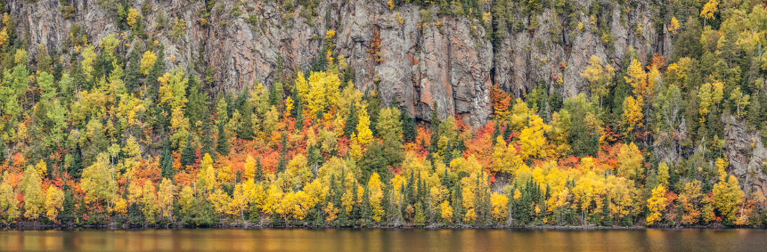 Vibrant autumn coloured foliage in a treed area along a lakeshore with rocky cliffs behind; Thunder Bay, Ontario, Canada