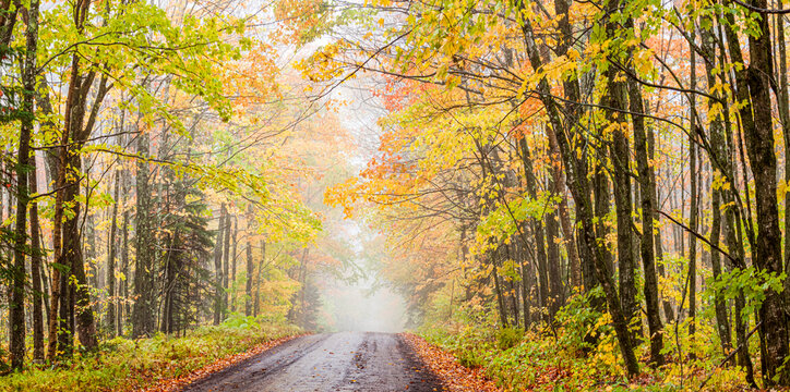 A foggy, country road through the forest in autumn, near Grand Portage; Minnesota, United States of America