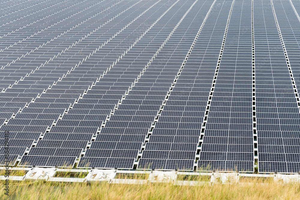 Wall mural Close-up of the floating Solar power system on the flood detention basin.