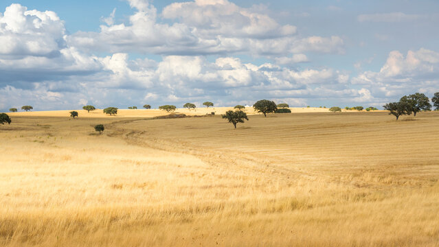 Puro Alentejo