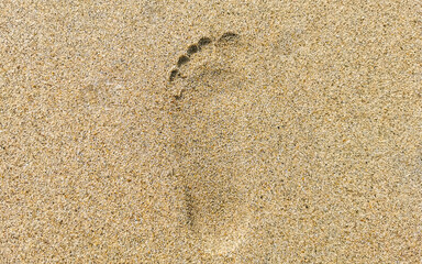 Footprint footprints on the beach sand by the water Mexico.