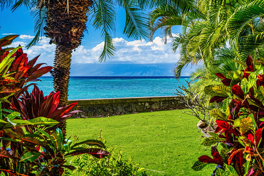 Tropical plants frame a turquoise ocean view on a beautiful, sunny day at Kahana along the picturesque coastline in Napili-Honokowai; Maui, Hawaii, United States of America