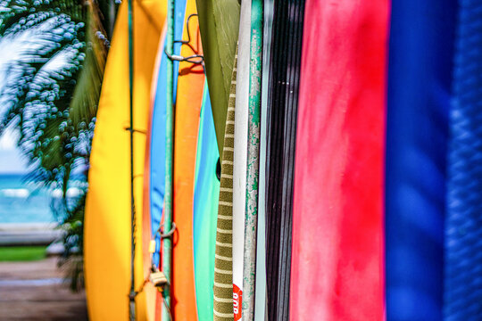 Close-up of surf boards lined up with the ocean in the background in Lahaina; Maui, Hawaii, United States of America