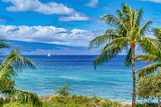 View of the Hawaiian Islands with a sailboat on the blue and turquoise water of the Pacific Ocean and palm trees along the shore at Kaanapali Beach in Lahaina; Maui, Hawaii, United States of America