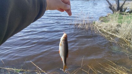 A fisherman above the shore of the lake holds in his hand a fishing line with a hook, on which...
