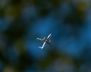 Fototapeta premium airplane in the sky