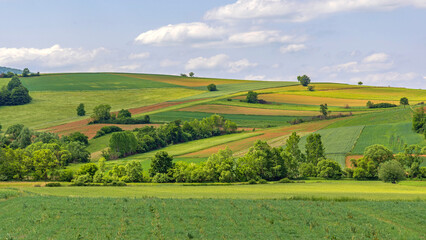 Fototapeta premium Green Hill Landscape