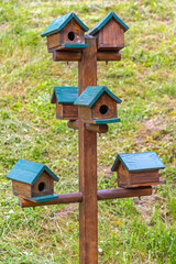 Multiple Bird Houses