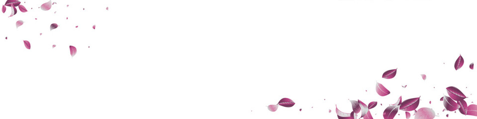 Obraz na płótnie Canvas Violet Solar Realistic Vector White Transparent