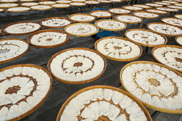 A large area of traditional handmade noodles drying outdoors in Guanmiao, Tainan, Taiwan.