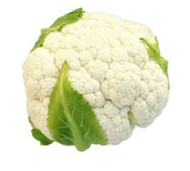 Fresh cauliflower isolated